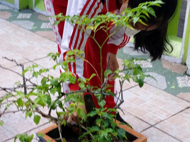 Hari Pohon Sedunia tahun 2022